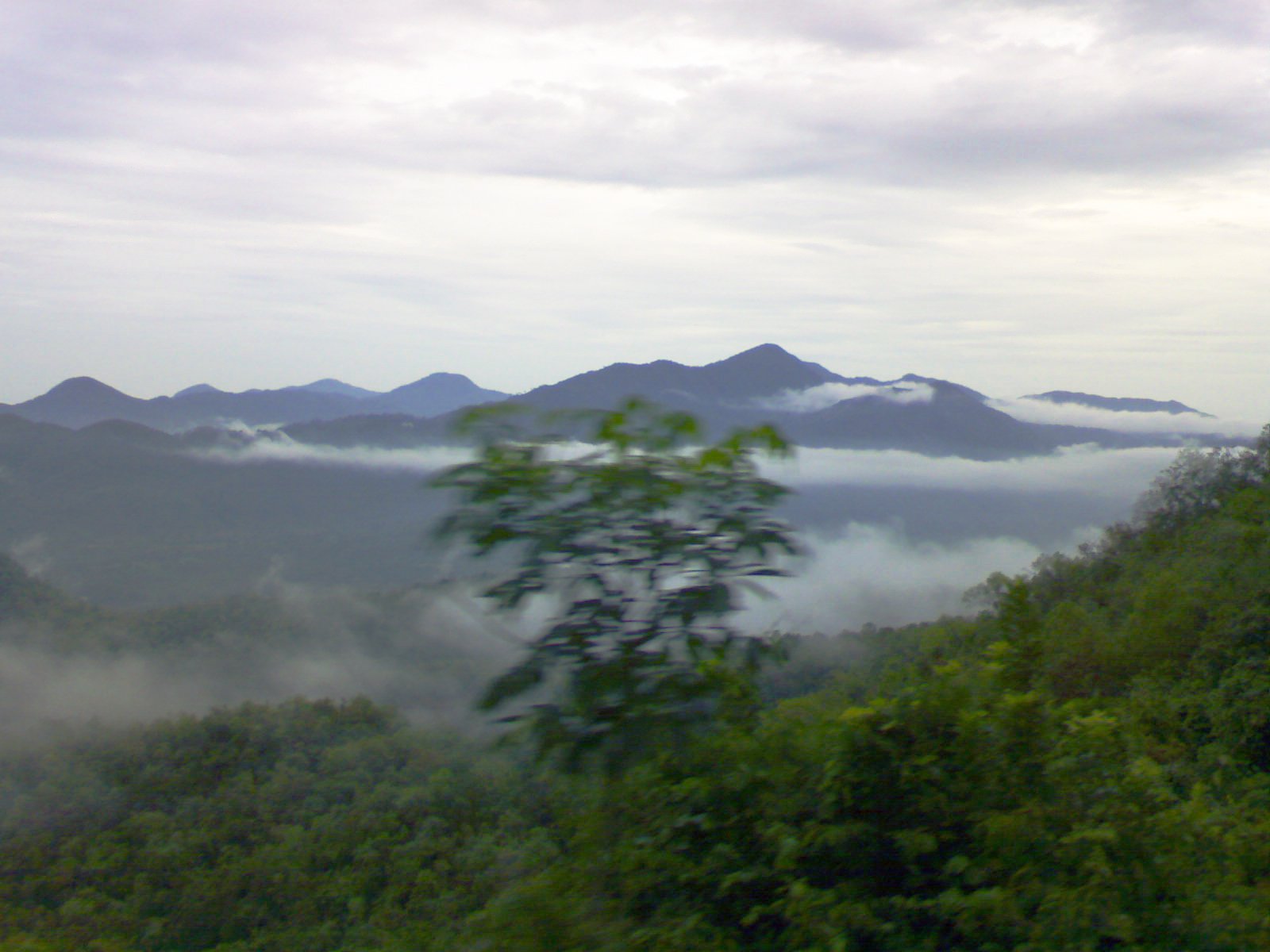 Packers and Movers in Koraput